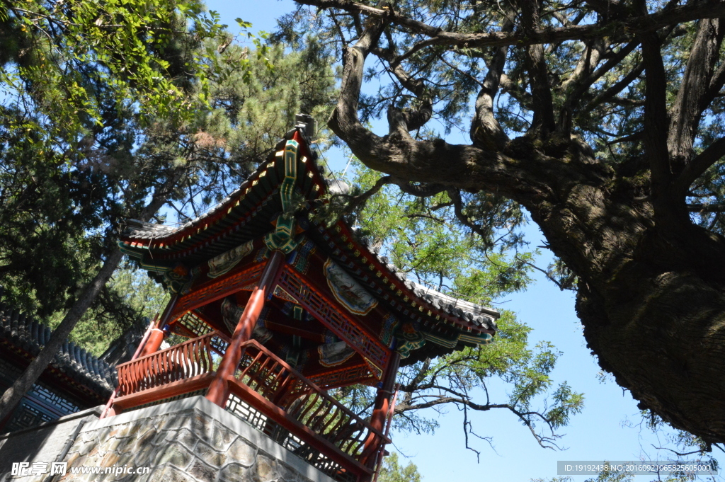 香山公园风景