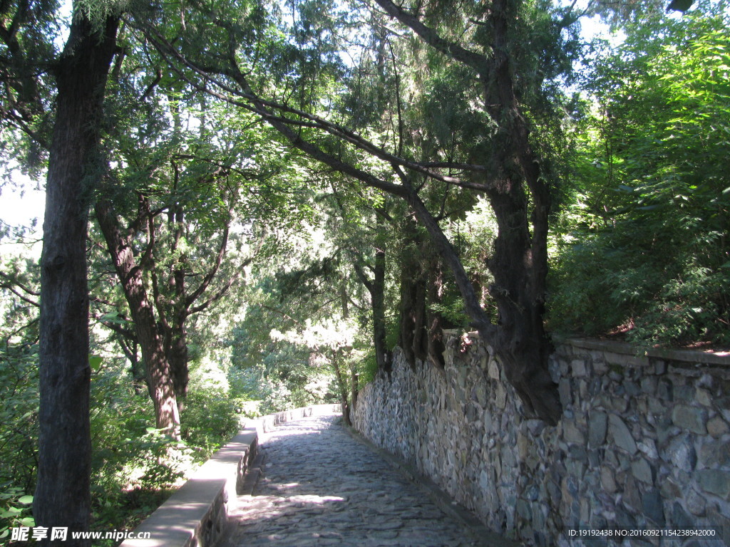 香山公园风景