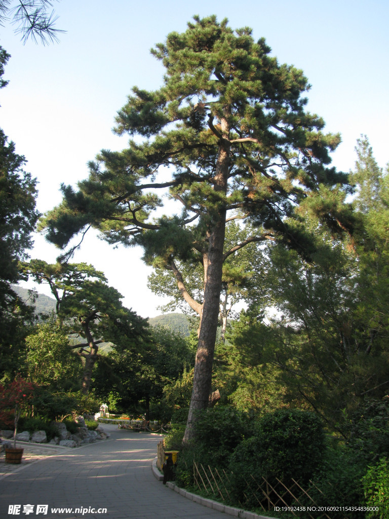 香山公园风景