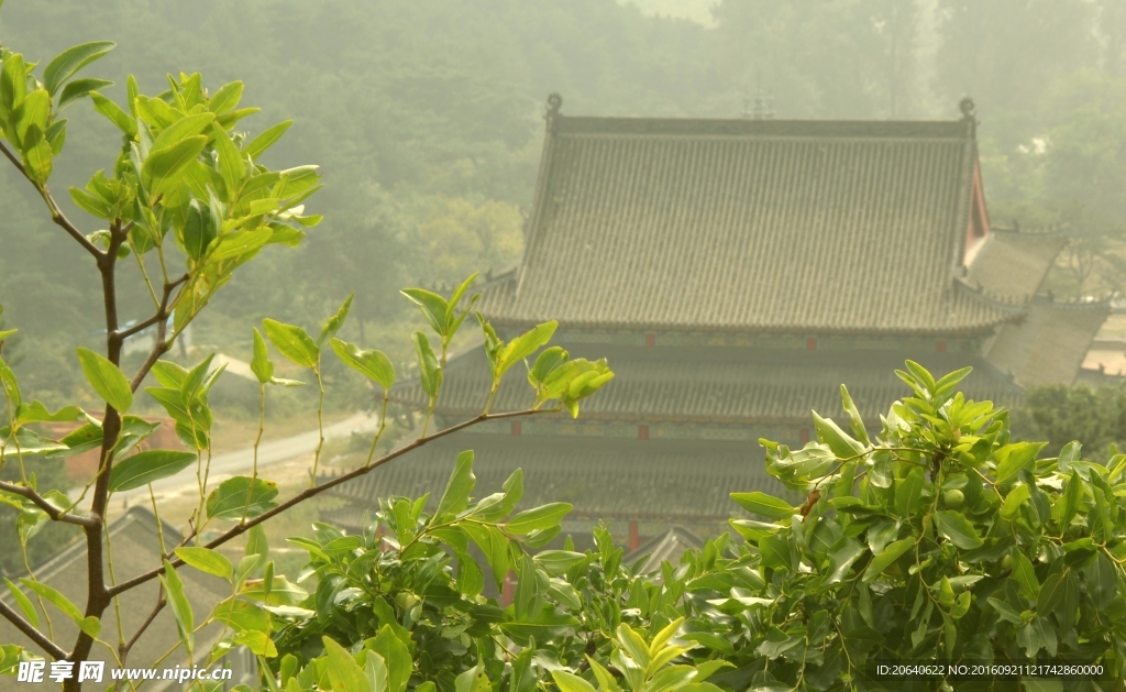 屋顶