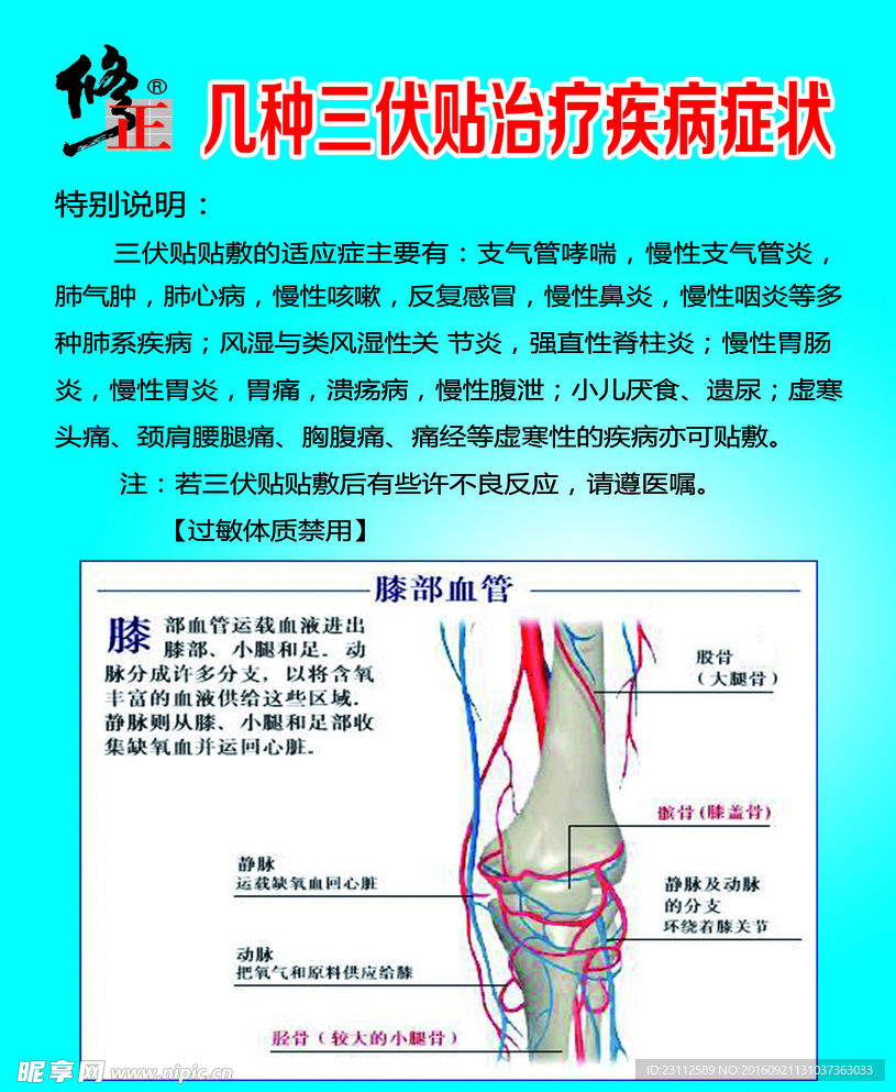 三伏贴