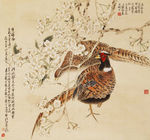 野鸡