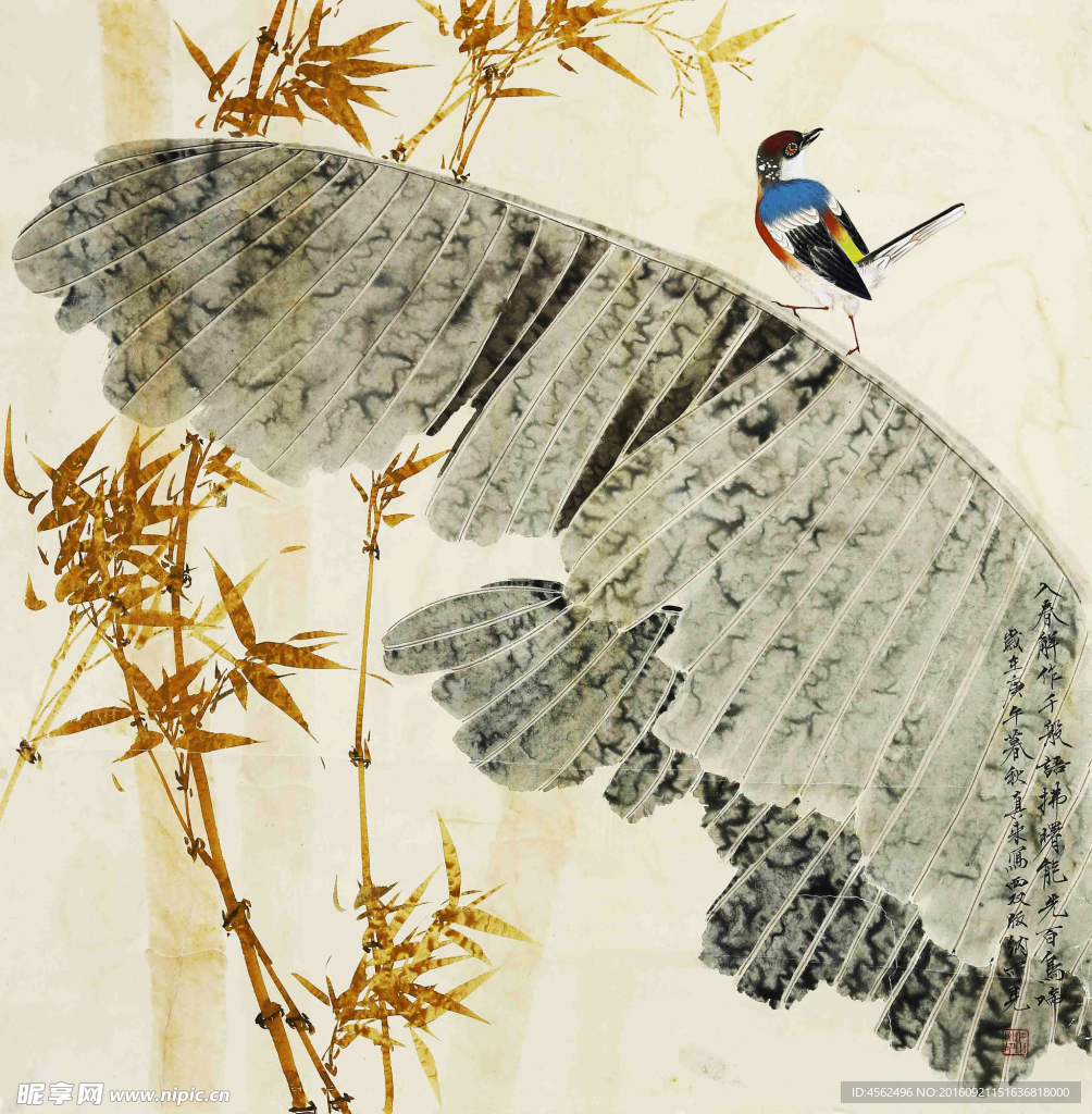 八角小鸟