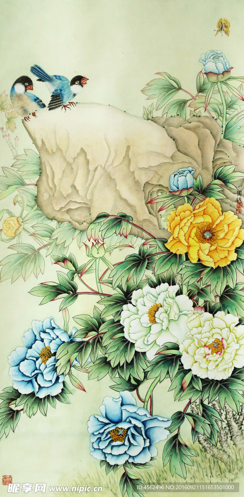 牡丹小鸟