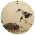 葵花小鸭
