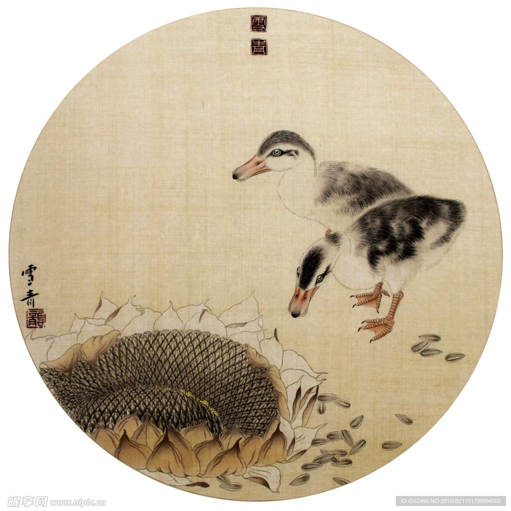 葵花小鸭