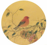 石榴小鸟