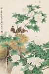 牡丹小鸟