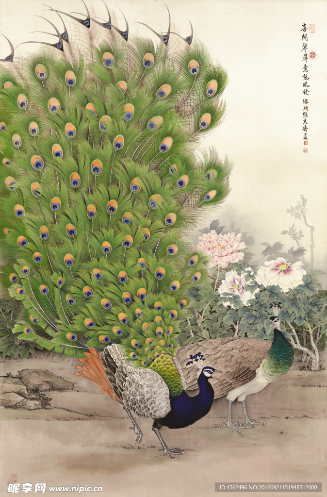 孔雀国画