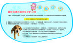 狂犬疫苗温馨提示