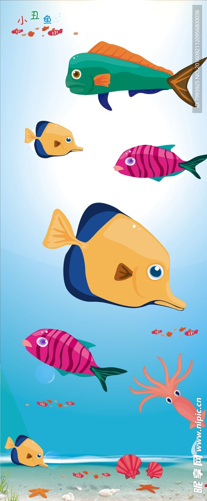 鱼类 海洋生物