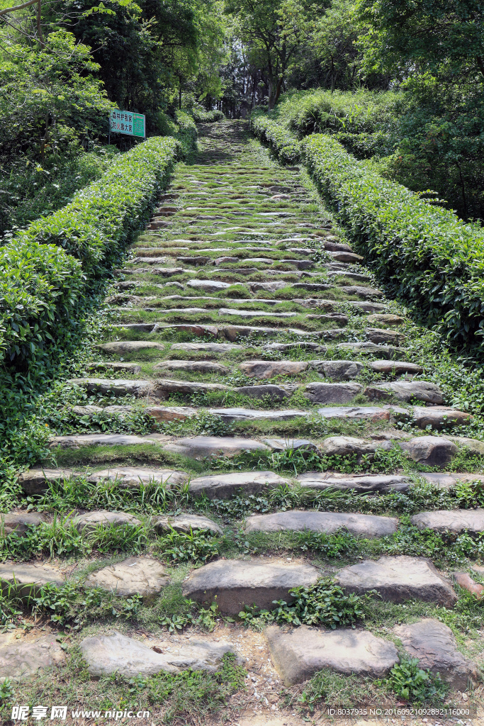 登山石阶