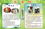 琴校荣誉榜