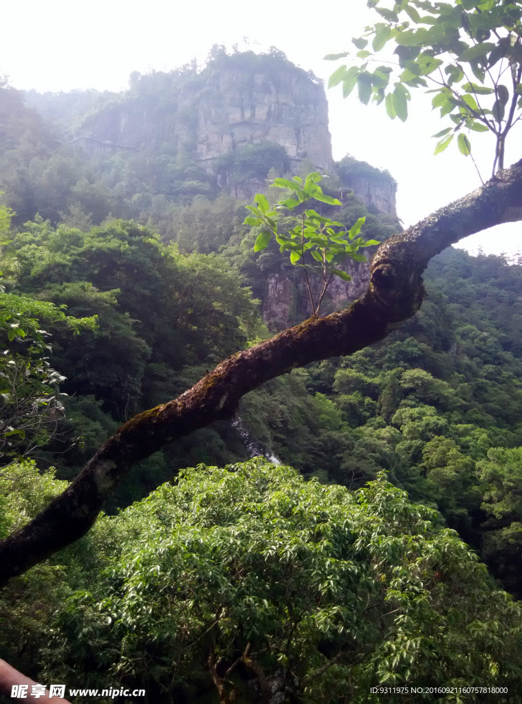 鸳鸯溪