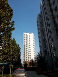 楼房