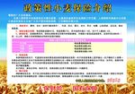 中国人保财picc 广告 彩页