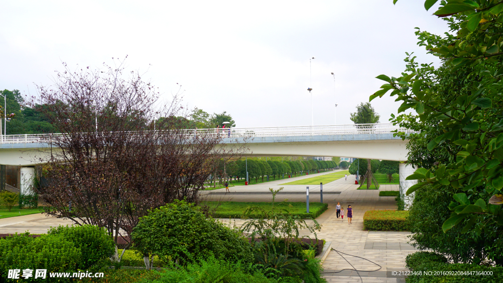 公园景观