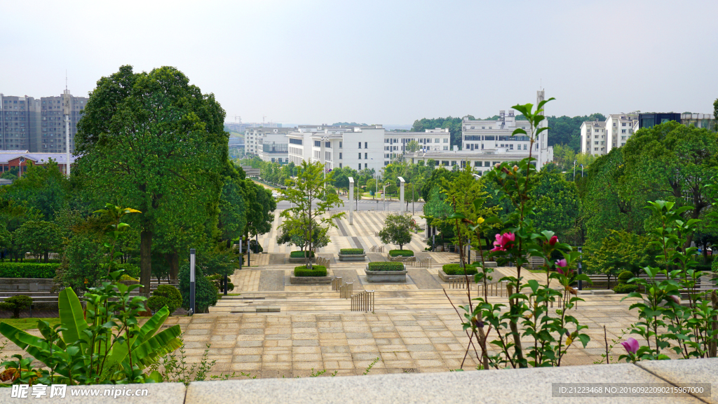 公园远景