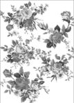 花纹
