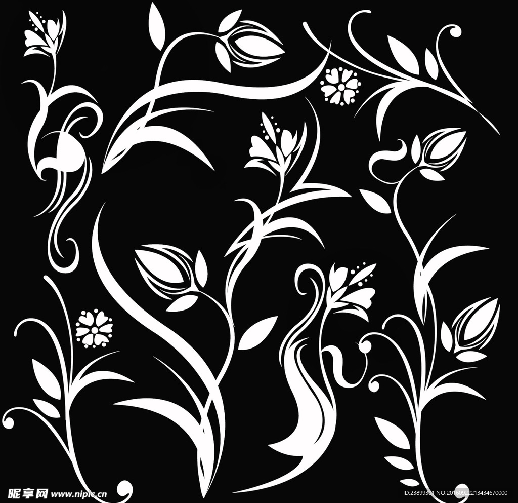 花纹