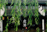 节气 壁纸 处暑