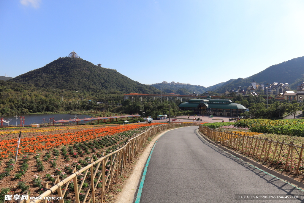 茶溪谷风景