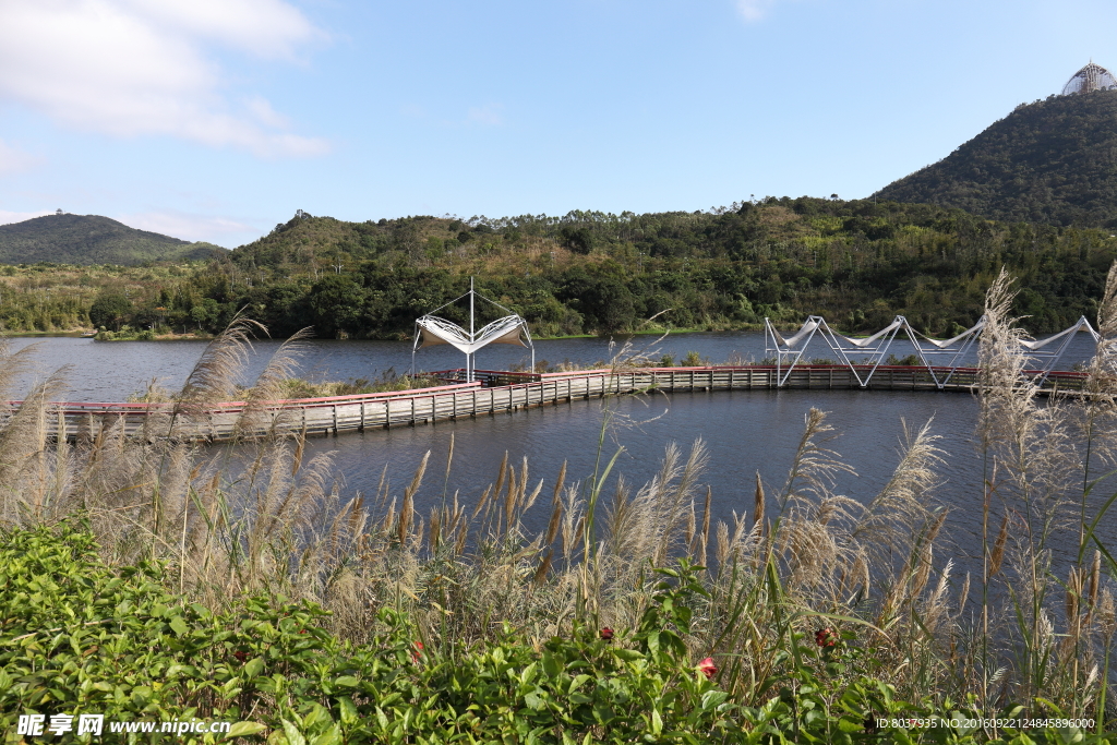 茶溪谷风景