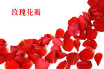 花瓣
