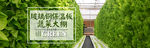 蔬菜大棚大图
