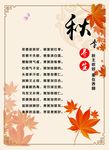 秋季养生海报