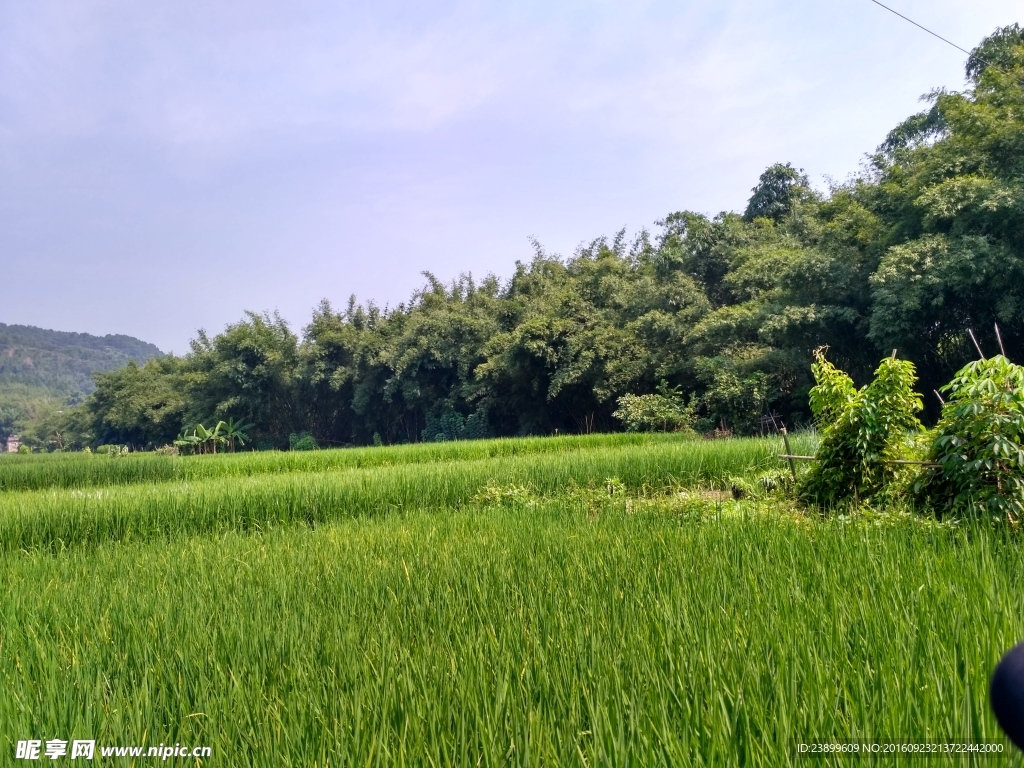 山间田野