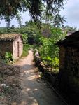 乡村小路