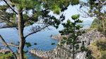 济州岛