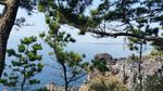 济州岛