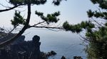 济州岛