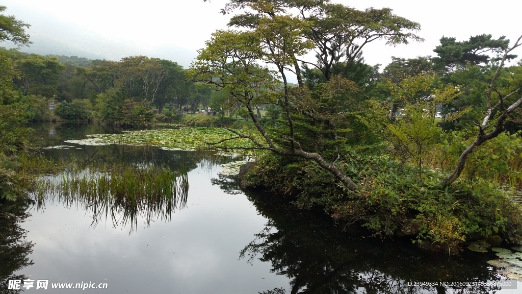 济州岛