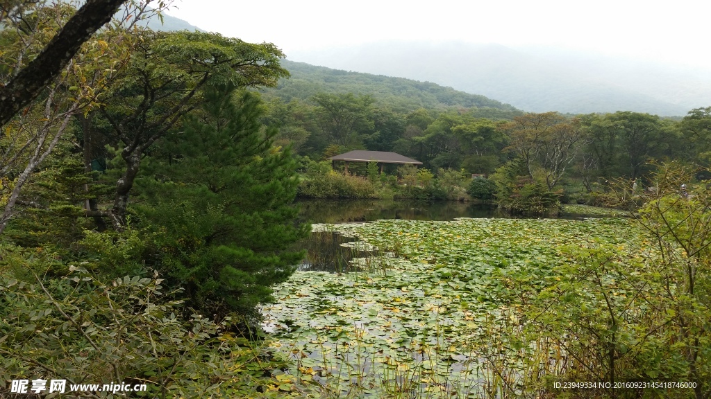 济州岛