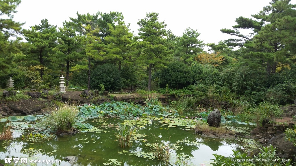 济州岛