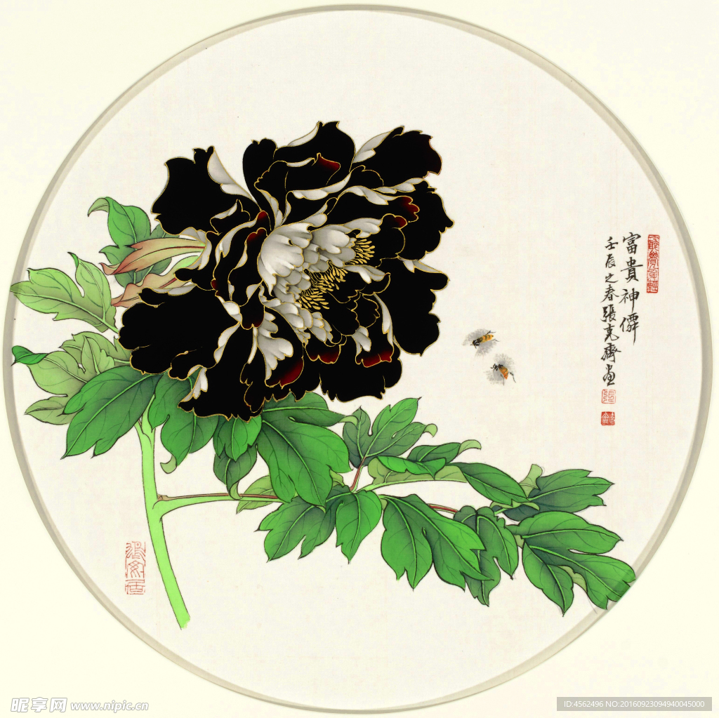 黑牡丹国画扇面