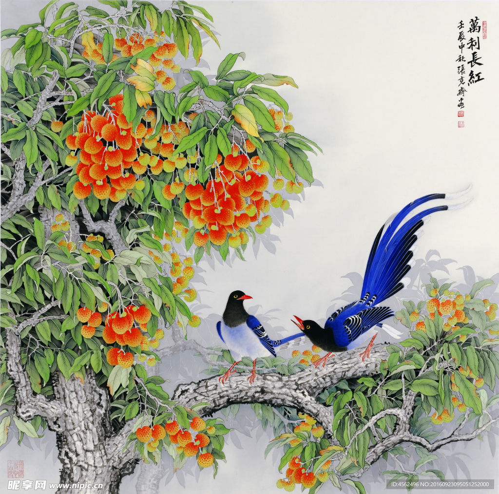 荔枝喜鹊