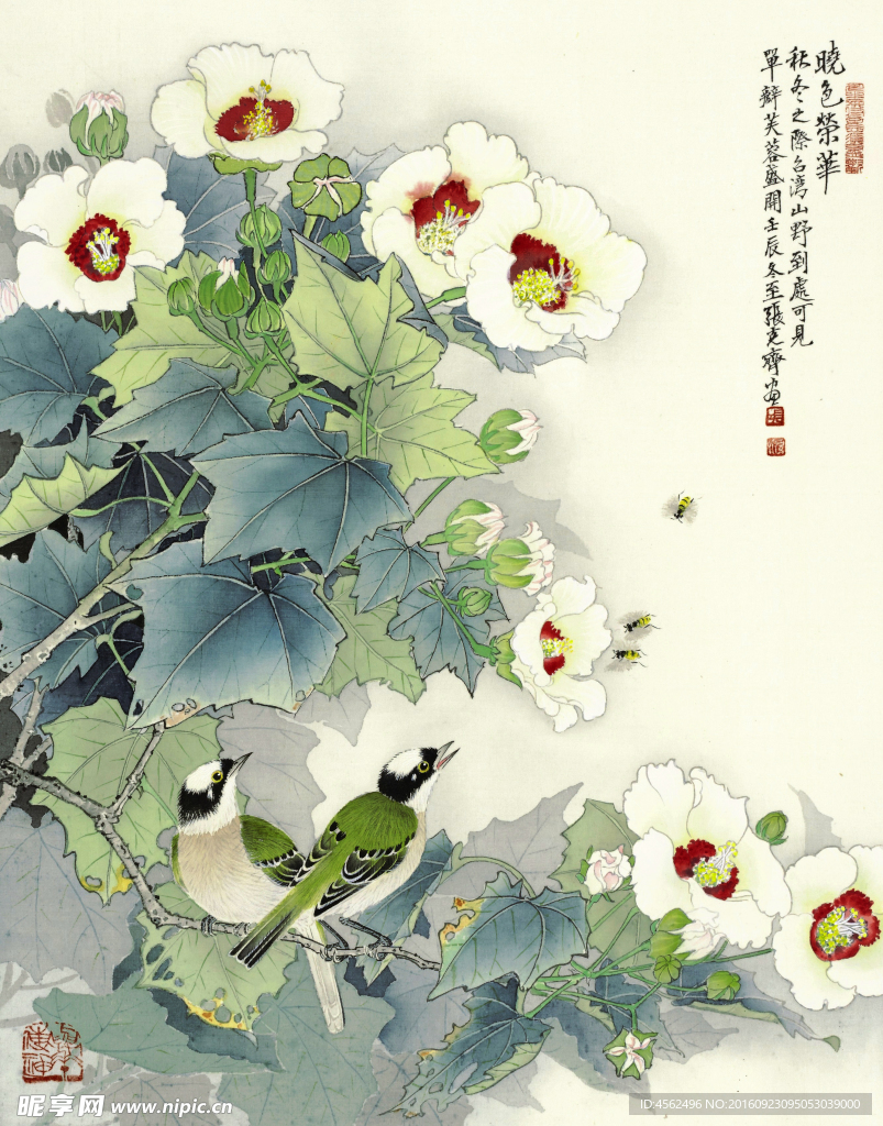 芙蓉小鸟