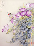 牵牛蜻蜓
