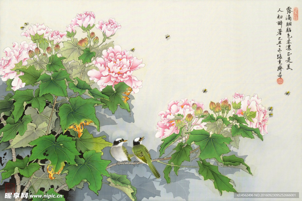 芙蓉小鸟