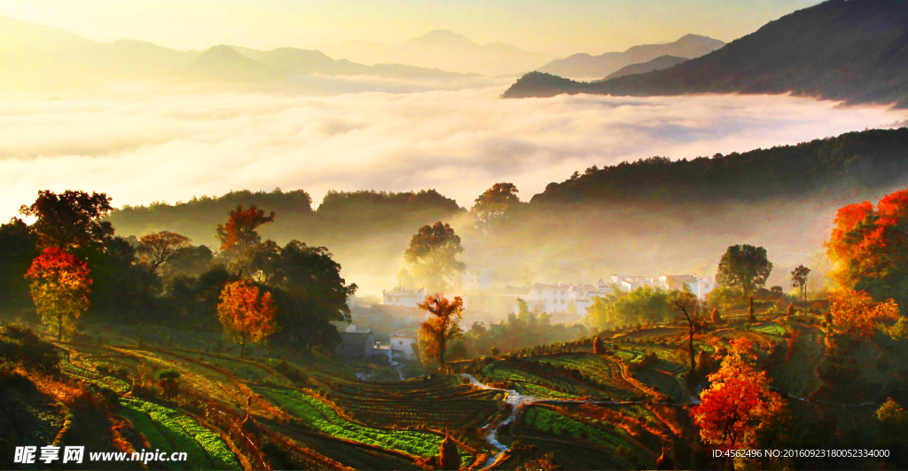 清晨