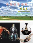 内蒙古马奶酒 草原
