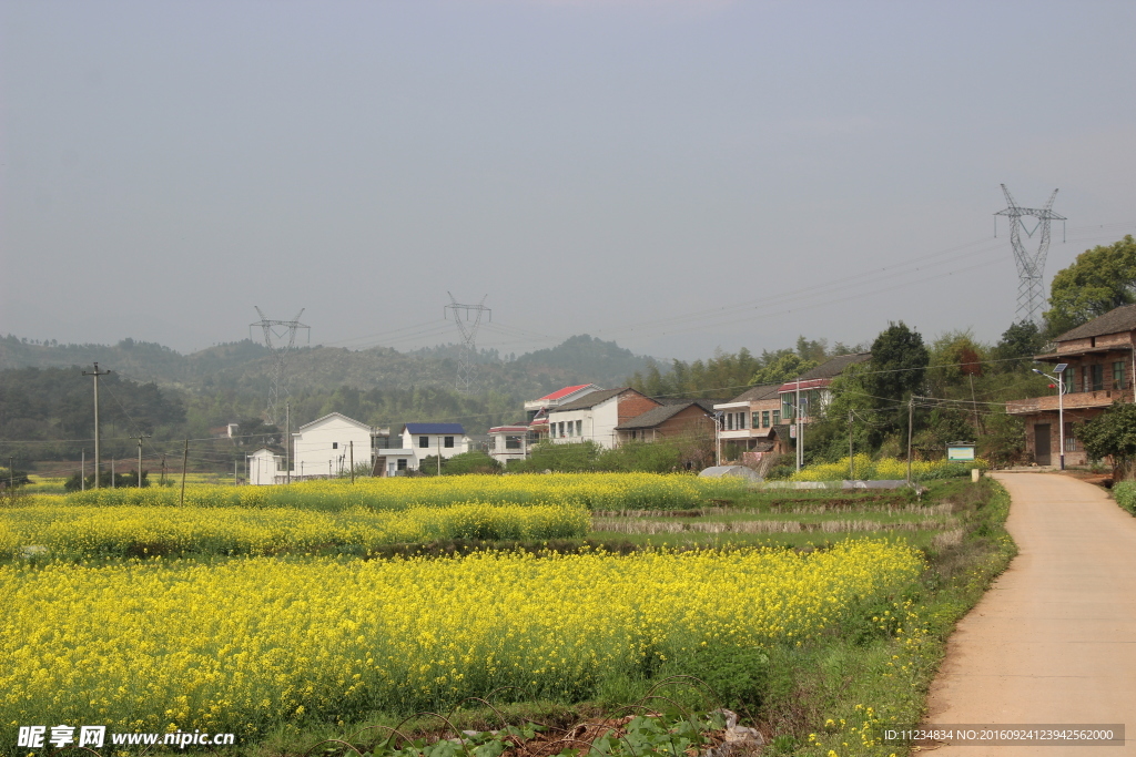田园风光