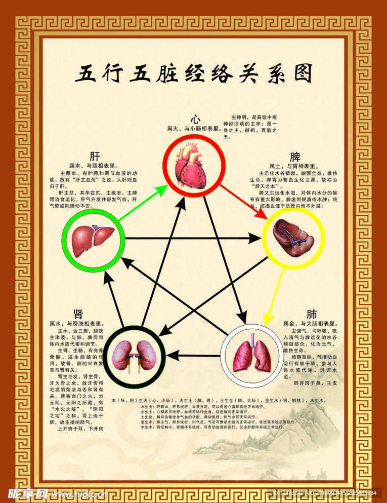 五行五脏经络关系