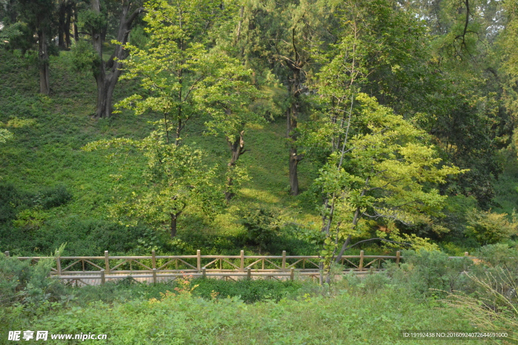 香山公园风景