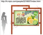柠檬宣传海报