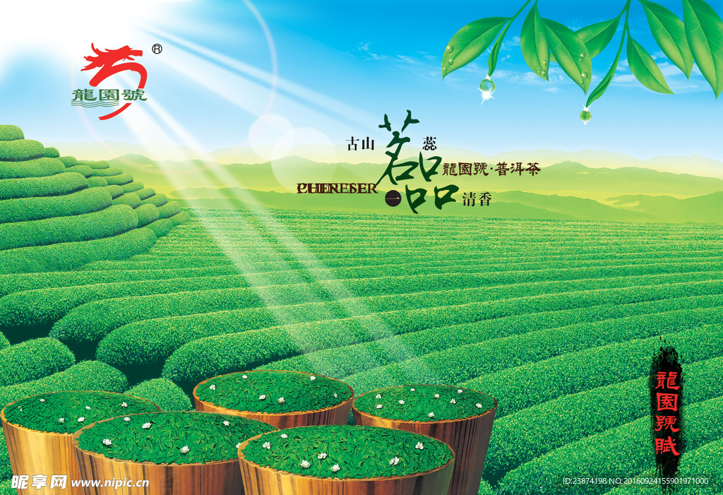 茶叶广告